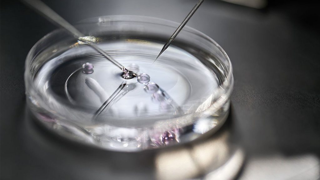 IVF loans: How to finance IVF and fertility treatments