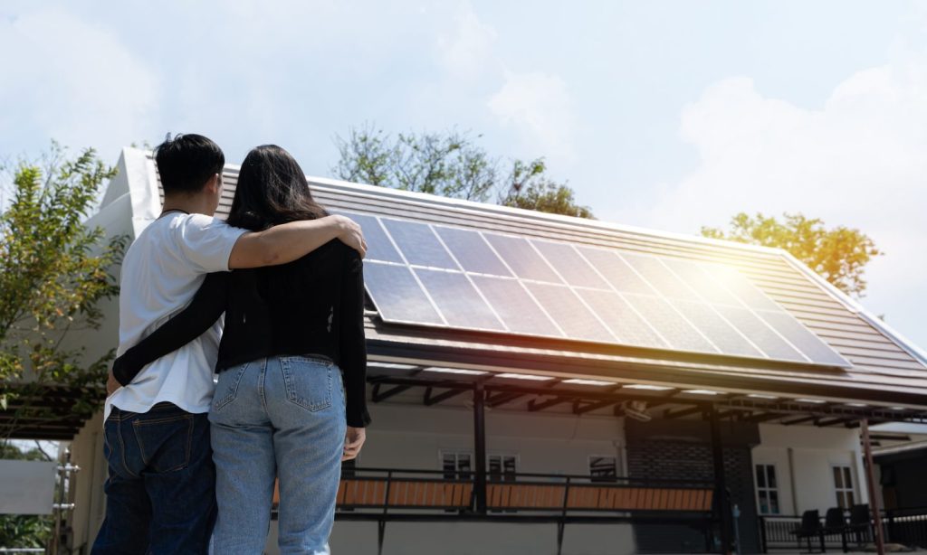 Solar Panel Types: What to Know