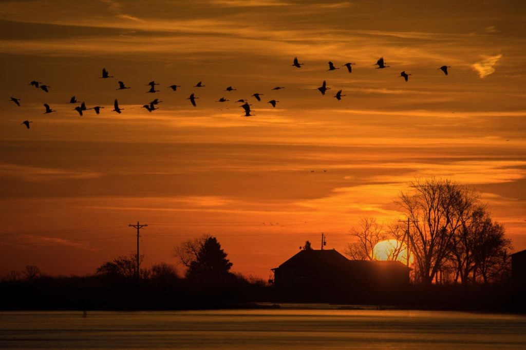 What Are The Wealthiest Cities In Nebraska? Latest Census Data Shows