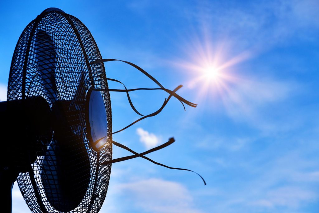 Best Fan to Keep Cool This Summer
